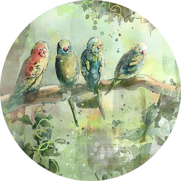 Tropische illustratie vier vogels in de jungle van Emiel de Lange