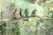 Tropische illustratie vier vogels in de jungle van Emiel de Lange