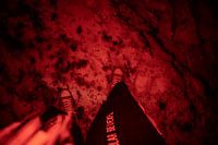 RED Steps