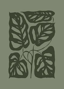 Monstera Lover