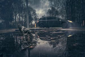 Bezaubernde Szene: Taube sucht Unterschlupf und schießt bei Regen am Auto vorbei