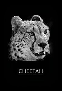 Gepard