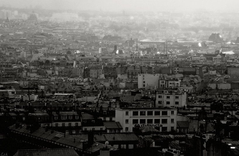 Blick über Paris. von Esh Photography