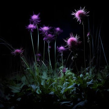 Betoverende Bloemenbol: De paarse Distel van Karina Brouwer