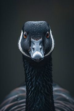 Focus op de sierlijke Canadese gans van Skyfall