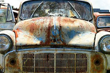 Close up of past glory of a car wreck by Renzo de Jonge