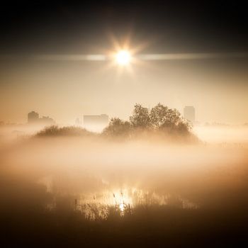 All quiet under the sun