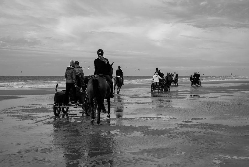 Horses on the beach of Wissant by Cathfish photography by Cathie Lefieuw