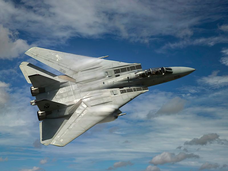 Grumman F-14 Tomcat, USA by Gert Hilbink