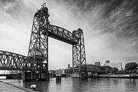 Koningshaven bridge (de Hef)