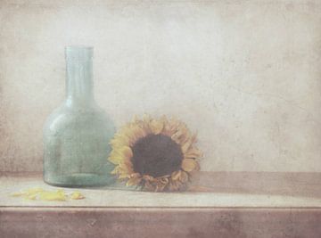 Sunflower, Delphine Devos by 1x