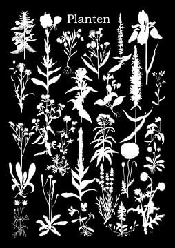 Collage van planten in witzwart