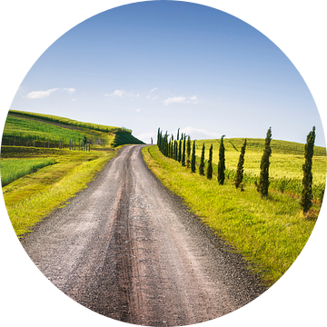 Monteroni d'Arbia, route van de via francigena. Toscane