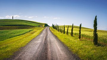 Monteroni d'Arbia, route van de via francigena. Toscane van Stefano Orazzini