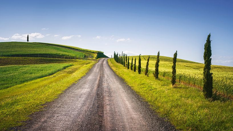 Monteroni d&#039;Arbia, itinéraire de la via francigena. Toscane par Stefano Orazzini