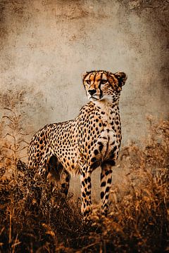 Cheetah in savannah setting by Art & Soul Creations
