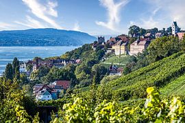 Meersburg on Lake Constance with vineyard by Dieter Walther