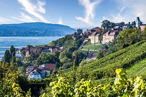 Meersburg am Bodensee mit Weinberg