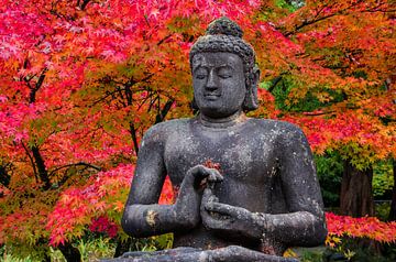Boeddah in de herfst van Tanja de Boer