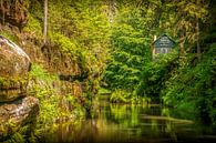 Edmundsklamm in Boheems Zwitserland van Antwan Janssen thumbnail