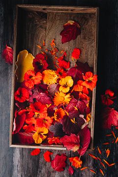 Eine Kiste voller Herbst von Annette Spaan