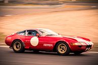 Ferrari 365 GTB/4 Daytona klassieke race auto van Sjoerd van der Wal Fotografie thumbnail