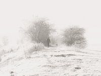 Winter on the river IJssel