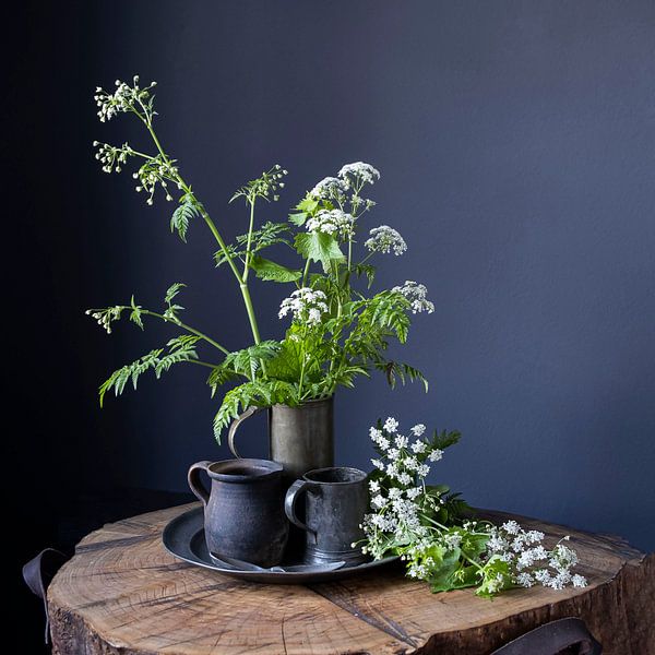 Still life with cow parsley and pewter on wood [square]. by Affect Fotografie