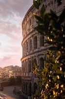 Colosseum in Rome with sunrise