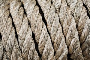 Close-up of coiled ship's rope