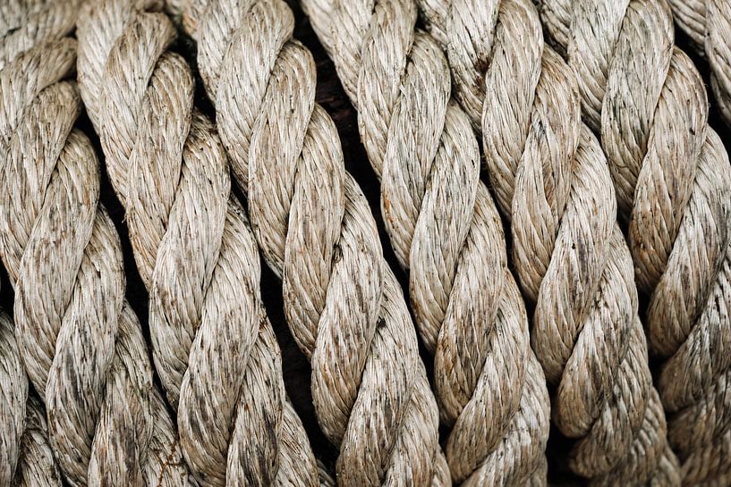 Close-up of coiled ship's rope by Melissa Peltenburg