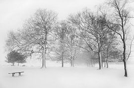 Winter in Holland von Tom Kraaijenbrink
