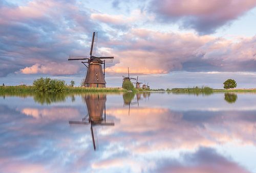 Kinderdijk reflections