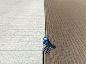 Tractor ploegt de grond voor het planten van gewassen van Sjoerd van der Wal Fotografie thumbnail