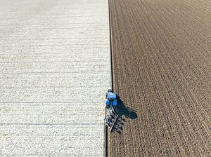 Traktor pflügt den Boden für die Anpflanzung von Pflanzen