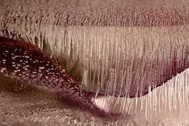 Natürlich abstrakt: Die Linien folgen der Form von Marjolijn van den Berg