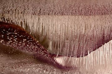 Natürlich abstrakt: Die Linien folgen der Form von Marjolijn van den Berg