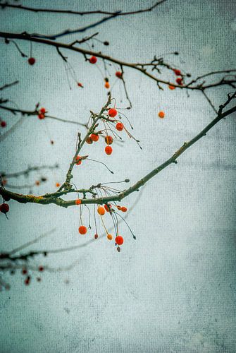 Winterse misleiding