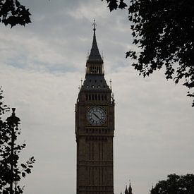 Big Ben in the Bush von Lin McQueen