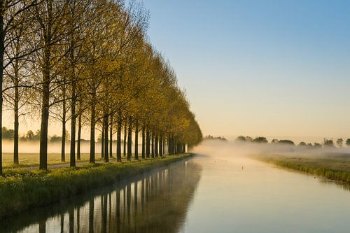 Serenity
