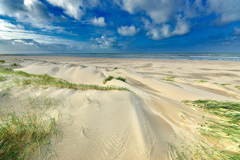 Art of the wind. by Peter van Rijn