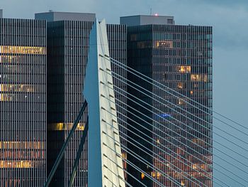 DeRotterdam/Erasmusbrug