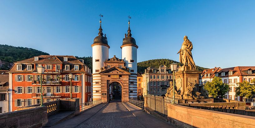 Old bridge with the bridge gate in Heidelberg by Werner Dieterich