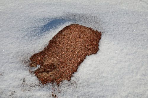 Bisti Badlands in de winter New Mexico, USA