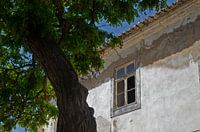 Verval