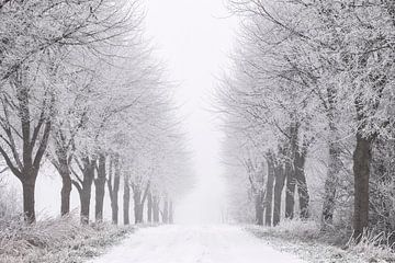 Winter in Zeeland von Frank Peters