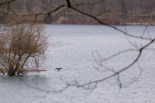 Stille Beobachtung