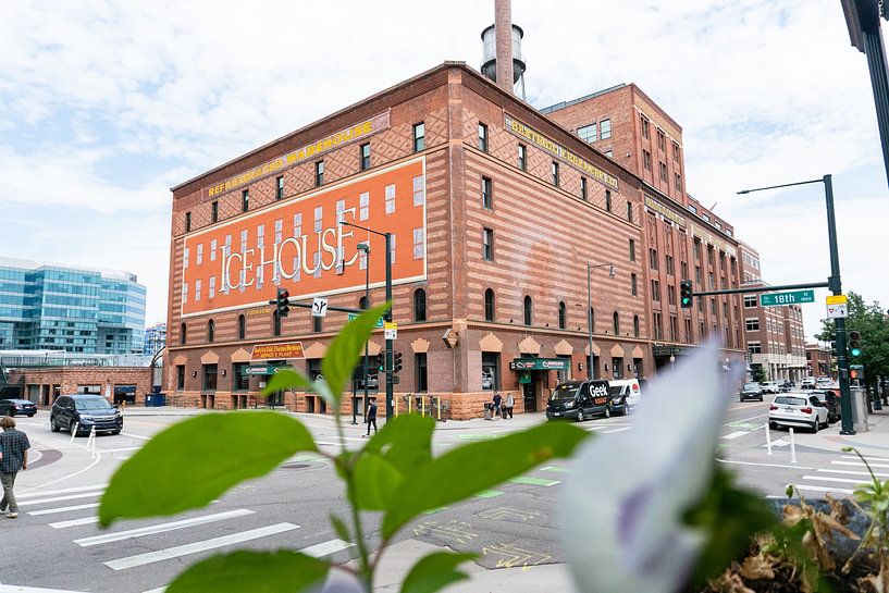 Architecture in Denver by Louise Poortvliet on canvas, poster