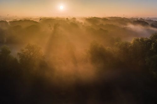 Sonnenaufgang von Rene Wolf