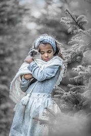 Winterstimmung von Elke De Proost